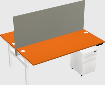 Shared electric desk