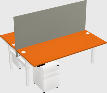 Shared electric desk