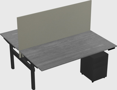 Shared electric desk