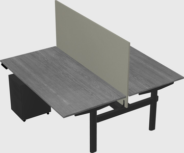 Shared electric desk