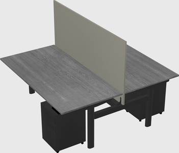 Shared electric desk
