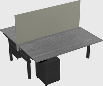 Shared electric desk
