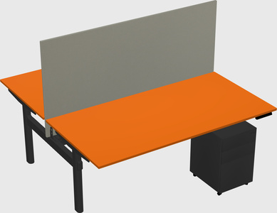 Shared electric desk