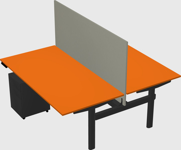 Shared electric desk