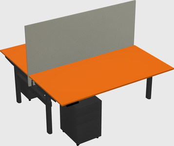 Shared electric desk