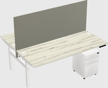 Shared electric desk