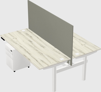 Shared electric desk