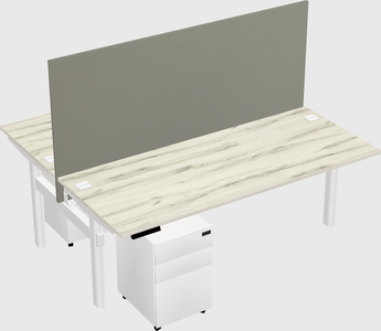 Shared electric desk