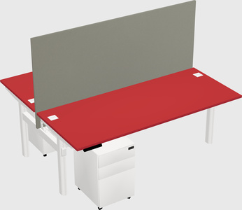 Shared electric desk