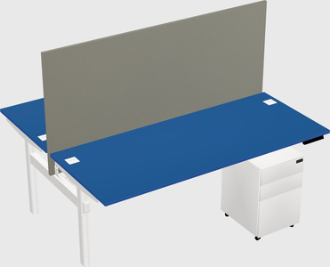 Shared electric desk