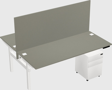 Shared electric desk
