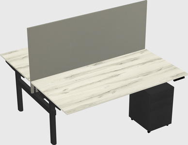 Shared electric desk