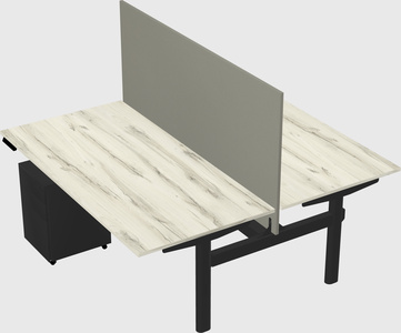 Shared electric desk