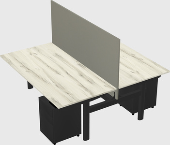 Shared electric desk