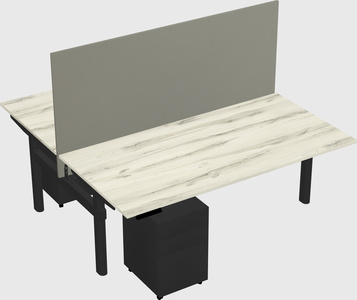 Shared electric desk