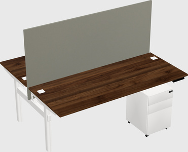 Shared electric desk