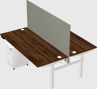 Shared electric desk