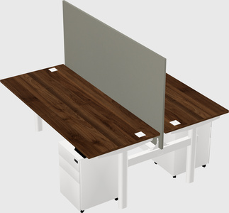 Shared electric desk