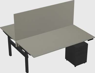 Shared electric desk
