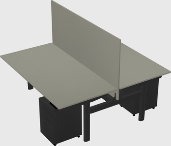 Shared electric desk