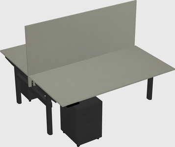 Shared electric desk