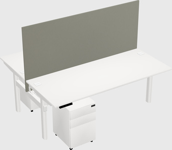 Shared electric desk