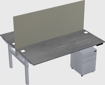 Shared electric desk