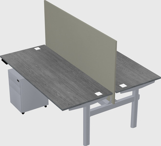 Shared electric desk