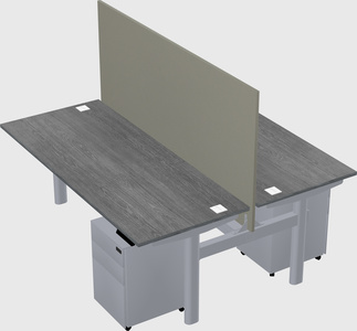 Shared electric desk
