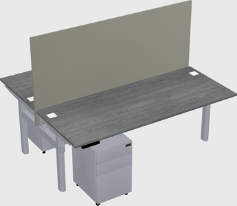 Shared electric desk