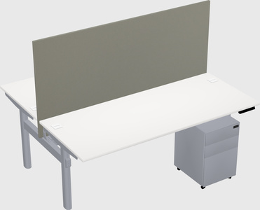 Shared electric desk