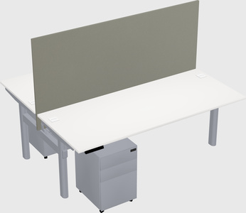 Shared electric desk
