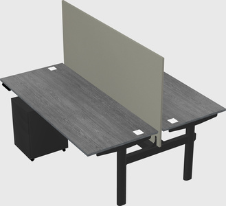 Shared electric desk
