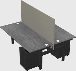 Shared electric desk