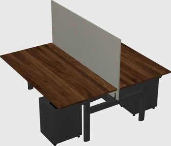 Shared electric desk