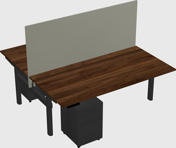 Shared electric desk