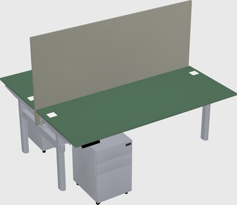 Shared electric desk