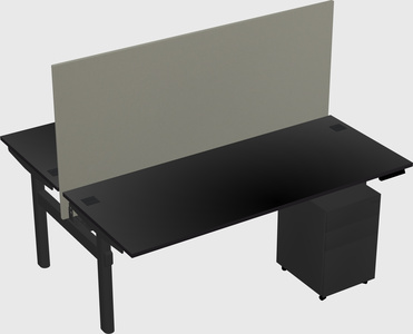 Shared electric desk