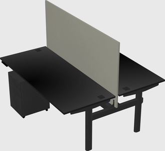 Shared electric desk