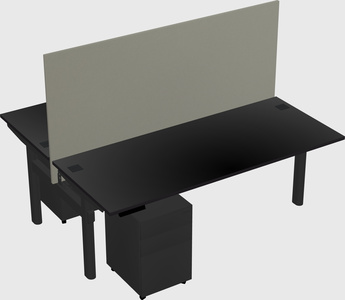 Shared electric desk