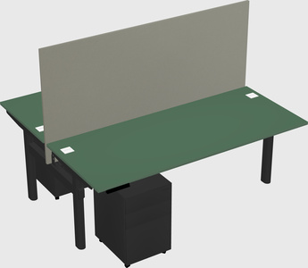 Shared electric desk