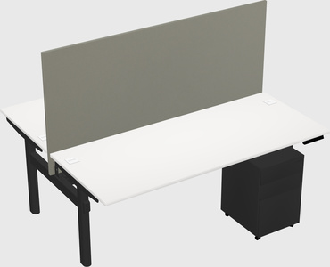 Shared electric desk