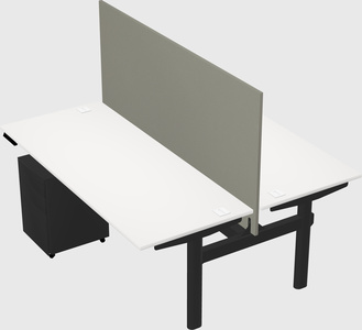 Shared electric desk