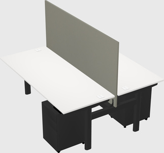 Shared electric desk