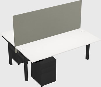 Shared electric desk