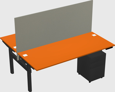 Shared electric desk