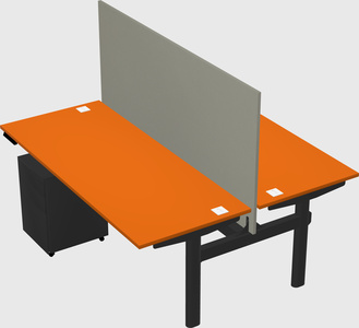 Shared electric desk