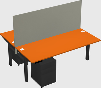 Shared electric desk