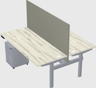 Shared electric desk