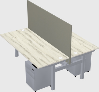 Shared electric desk